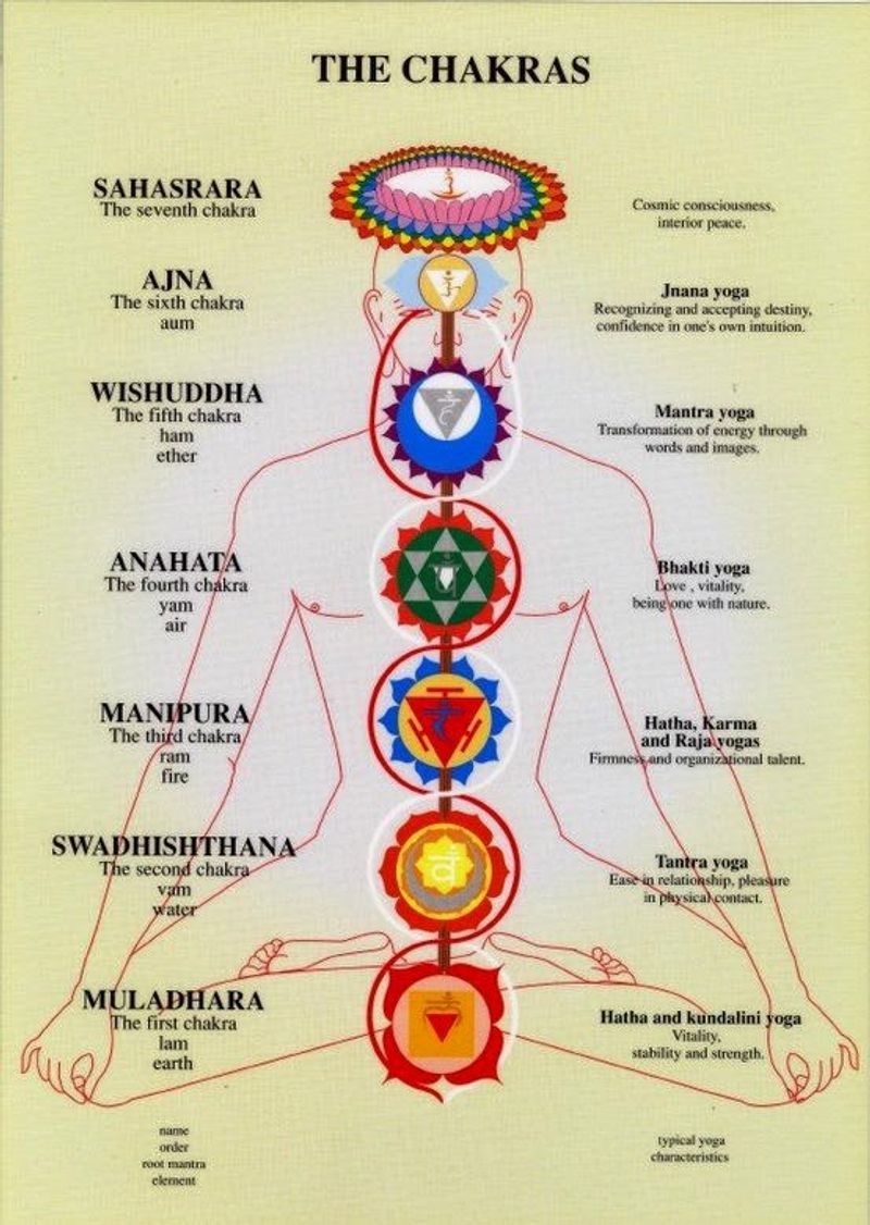 The Chakra