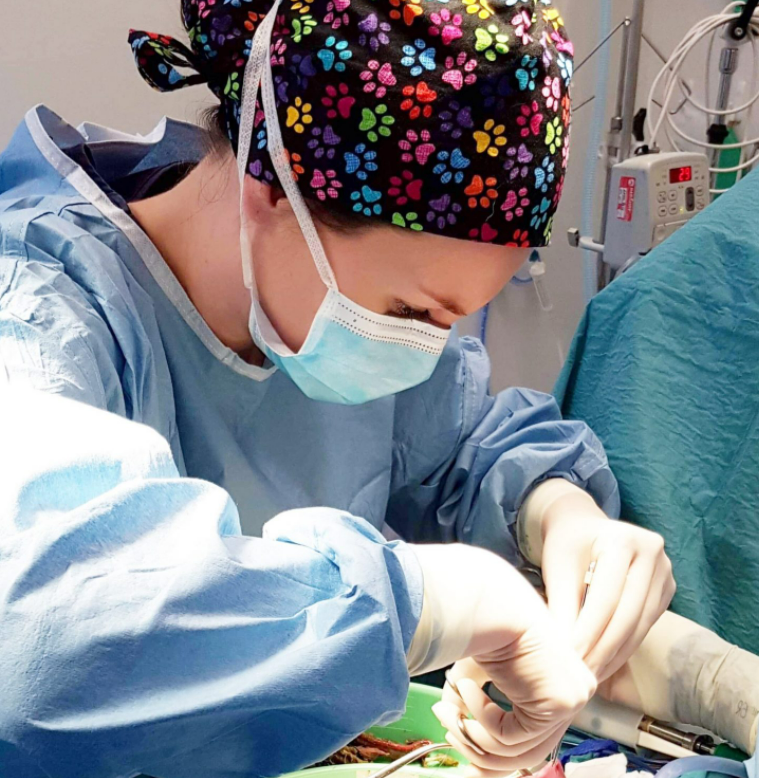 Dr. Brooke Schampers performing surgery
