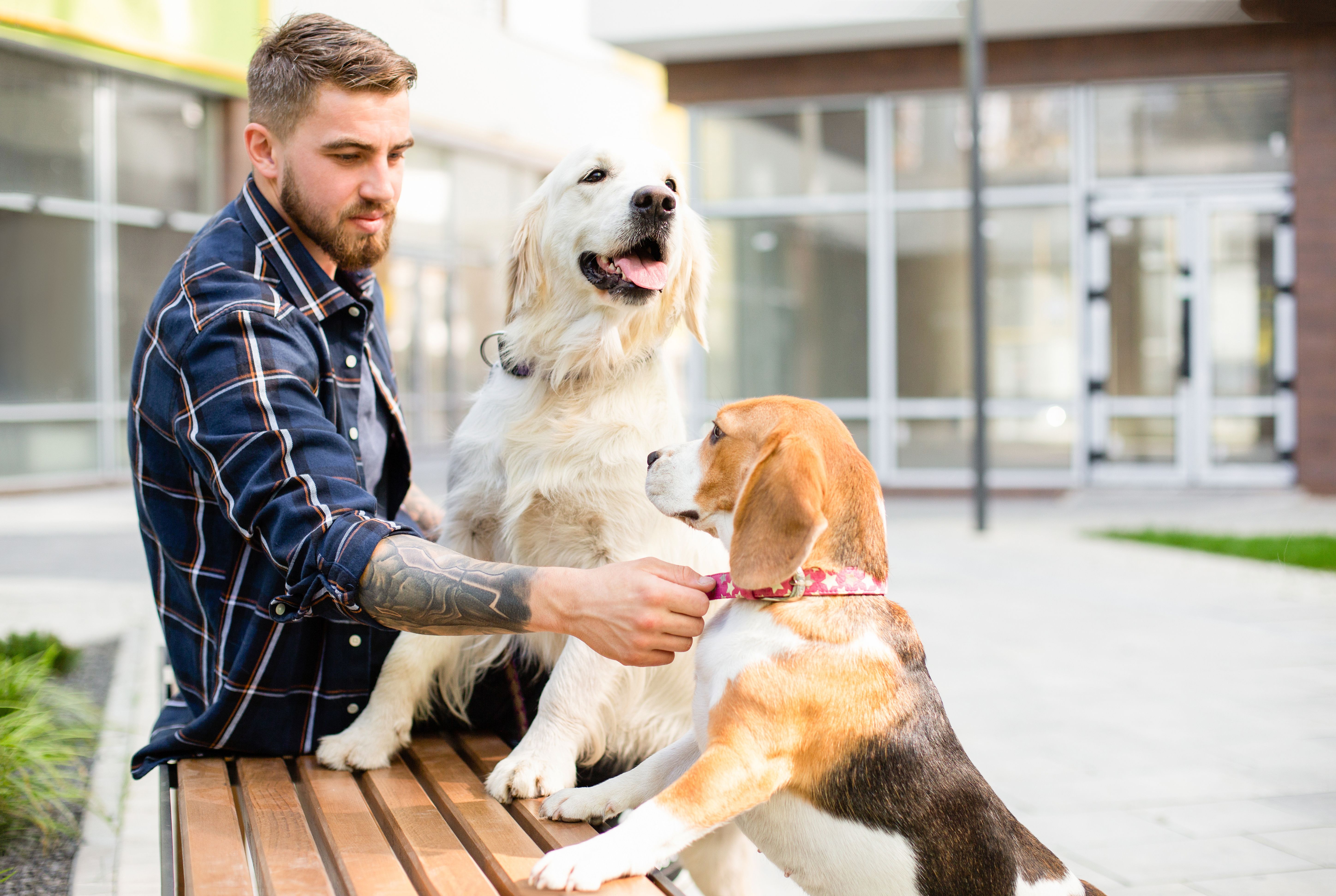 Wellness Visits Matter: Making Every Appointment Count: Every Wellness Visit Is an Opportunity