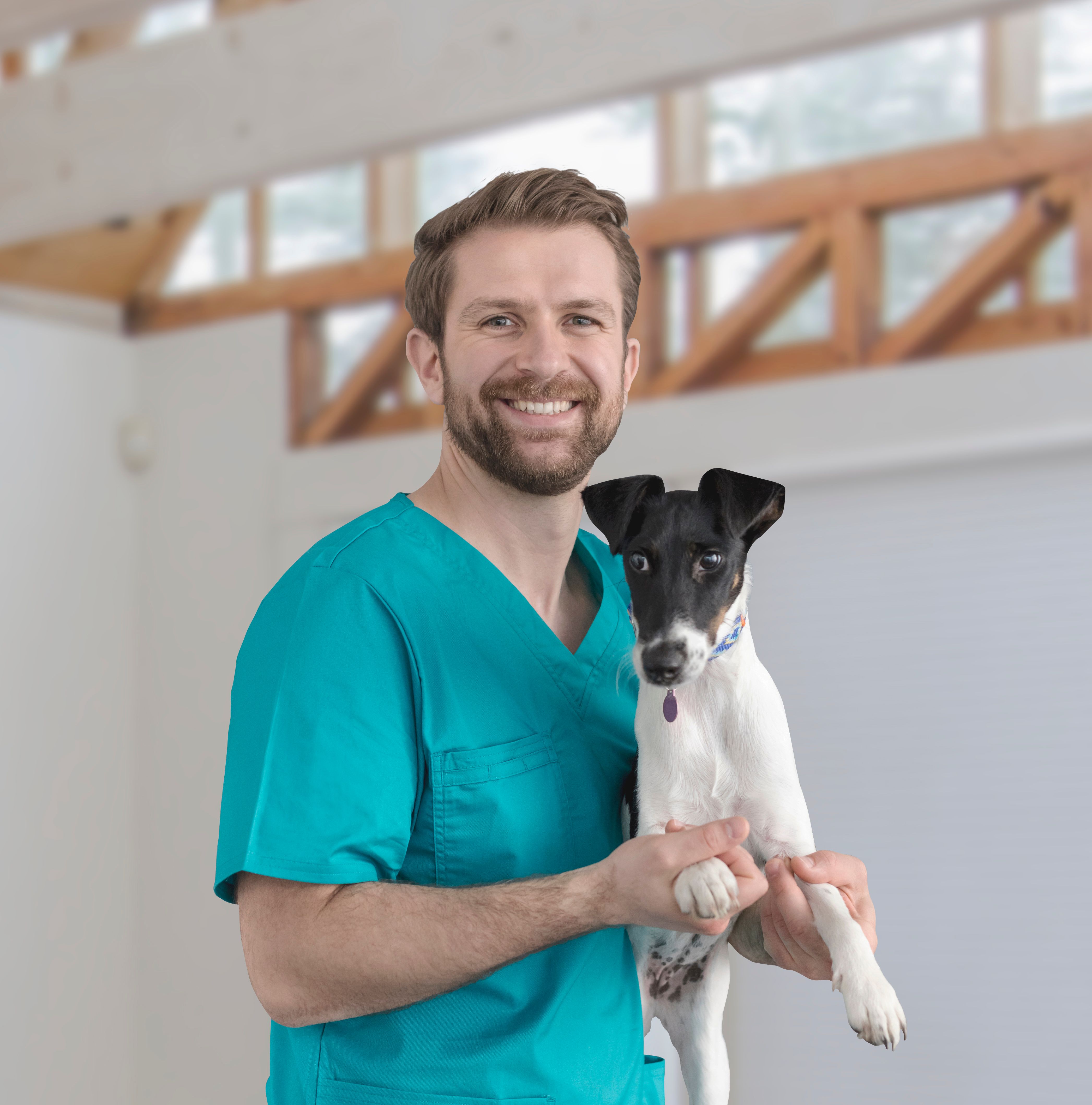 Veterinarian with a dog
