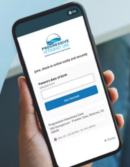 5 Reasons Why Using Digital Veterinary Patient Intake Forms Helps Veterinary Practices