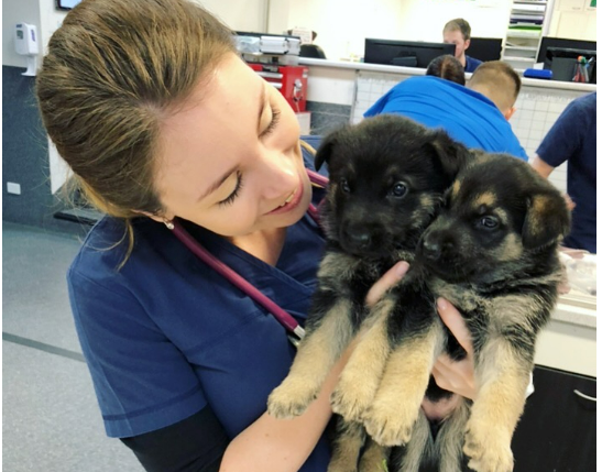 Dr. Brooke Schampers with puppies
