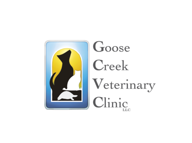 Goose Creek Veterinary Clinic