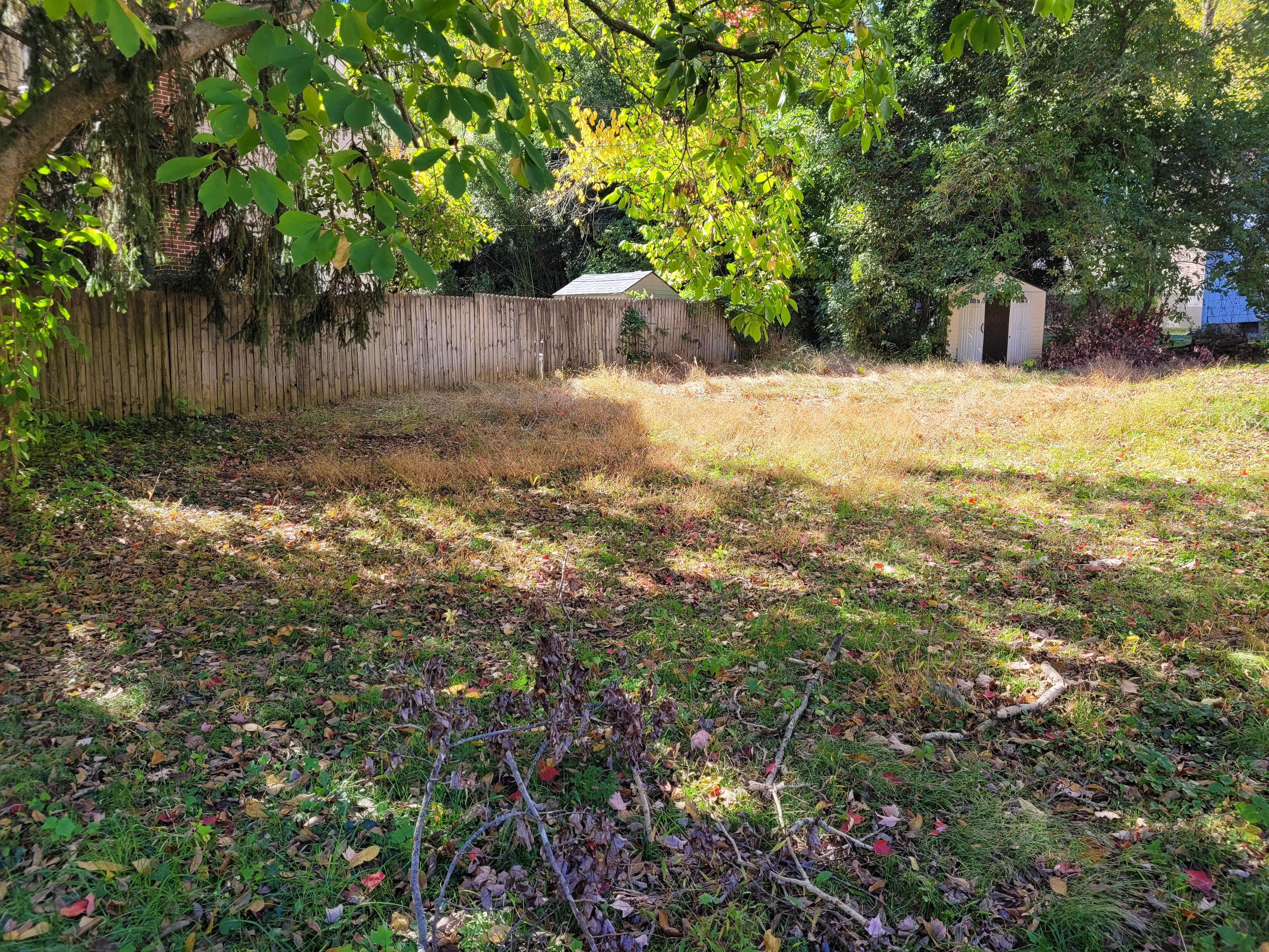 2533 Cedar Drive photo 4