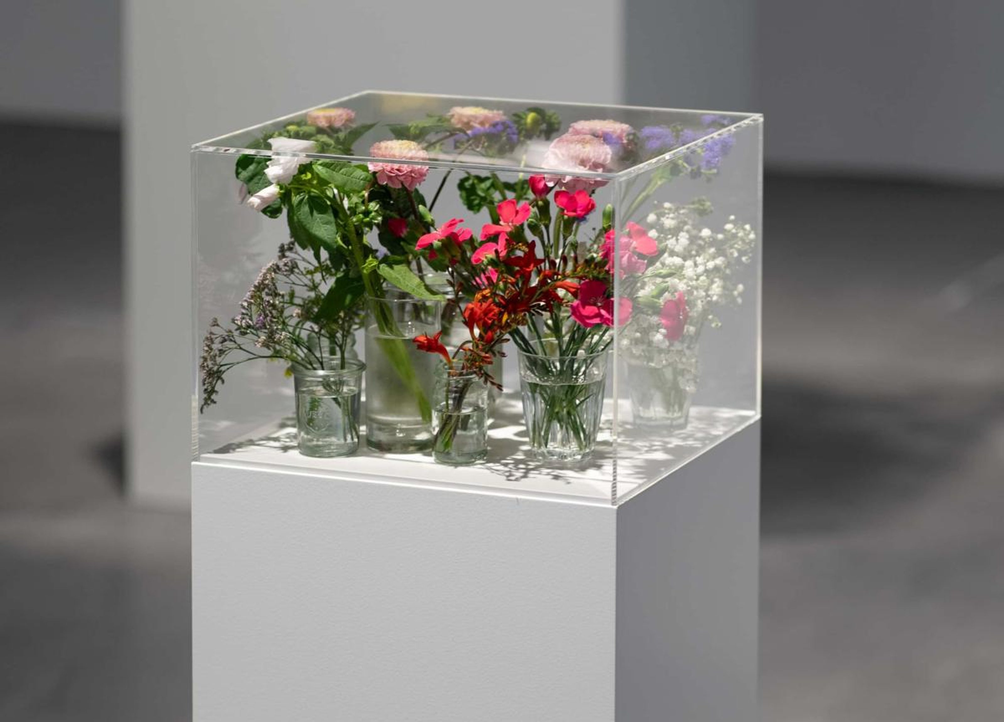 Pollen - Image 1