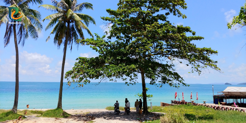 Palm trees and the sea at Ganh Dau