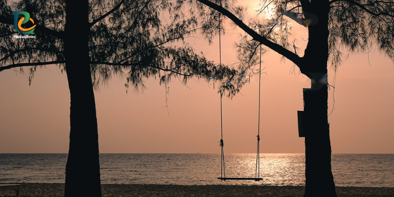 A swing between coastal trees at sunset in Ong Lang