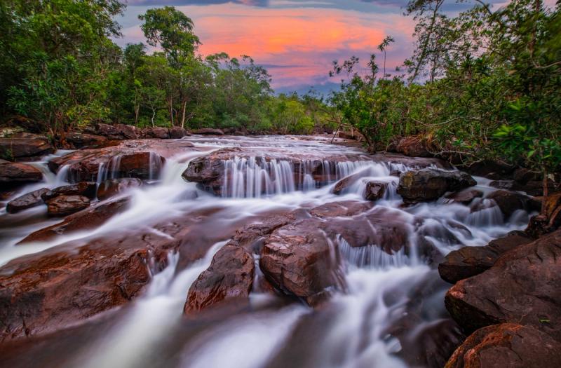 Forest vegetation and a rocky stream beneath an evening sky