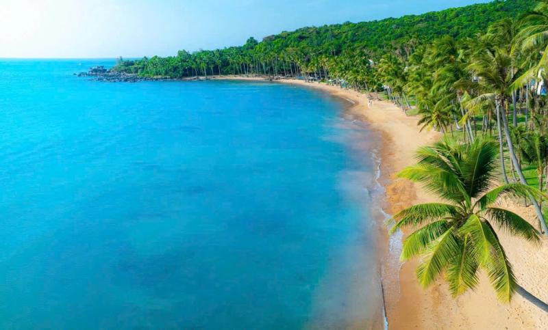 Aerial view of the palm-lined shore at Ciao Beach