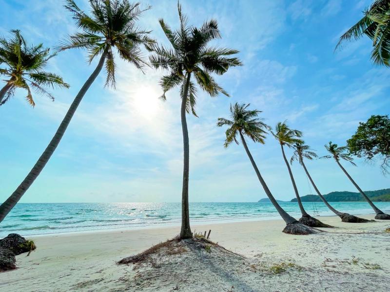 Palm trees leaning over Sao Beach