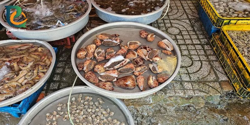 Fish and seafood sold at Duong Dong market