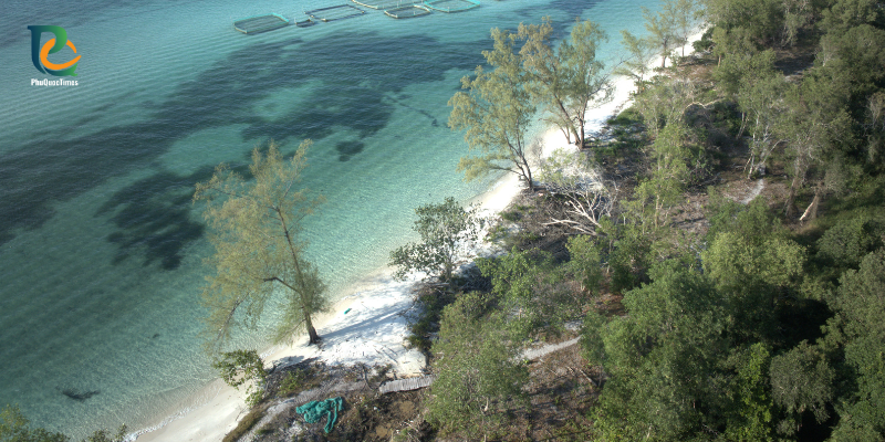 The wooded Rach Vem shoreline and shallow coastal water seen from above