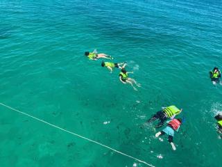Snorkelers in life jackets swimming above clear water