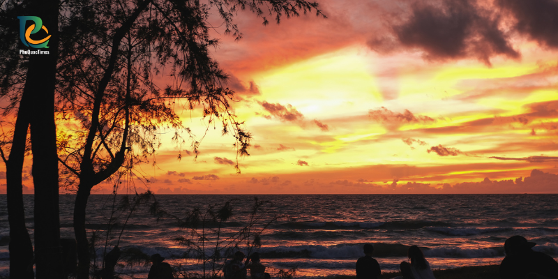 Sunset beyond the trees on Long Beach