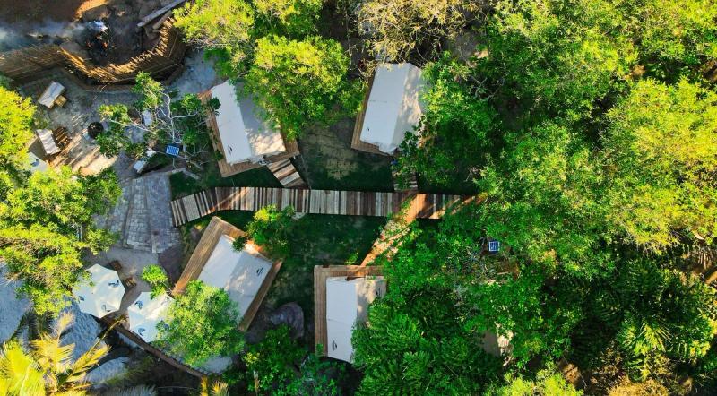 Raised canvas tents and connecting paths seen through trees from above