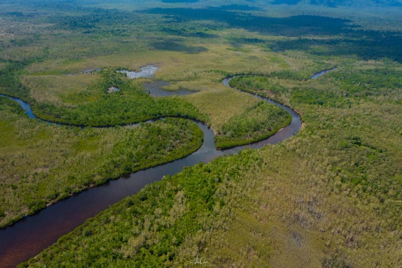 River bends through a wooded wetland landscape