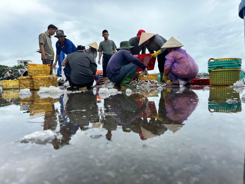 People sorting fish into baskets at a waterfront market