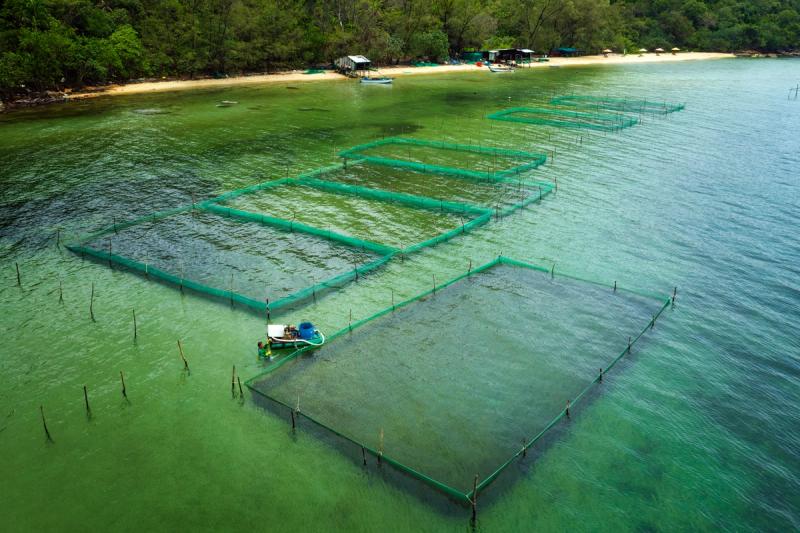 Coastal aquaculture pens and a small boat near the Rach Vem shoreline