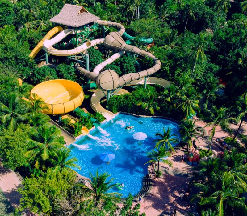 Yellow and enclosed slides above a palm-lined Aquatopia pool