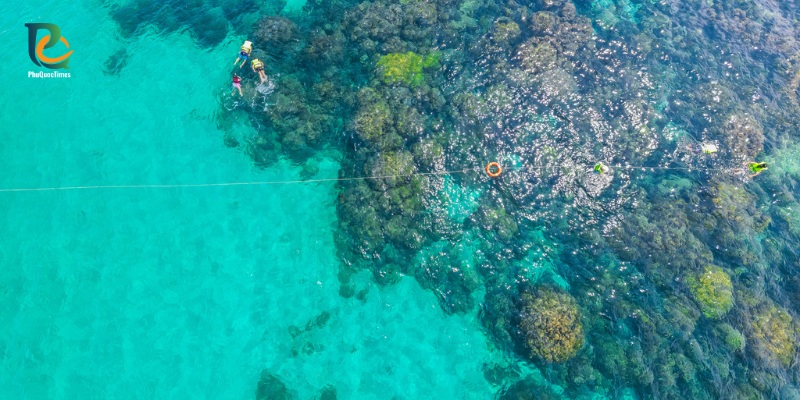 Snorkelers above the reef edge at May Rut Trong