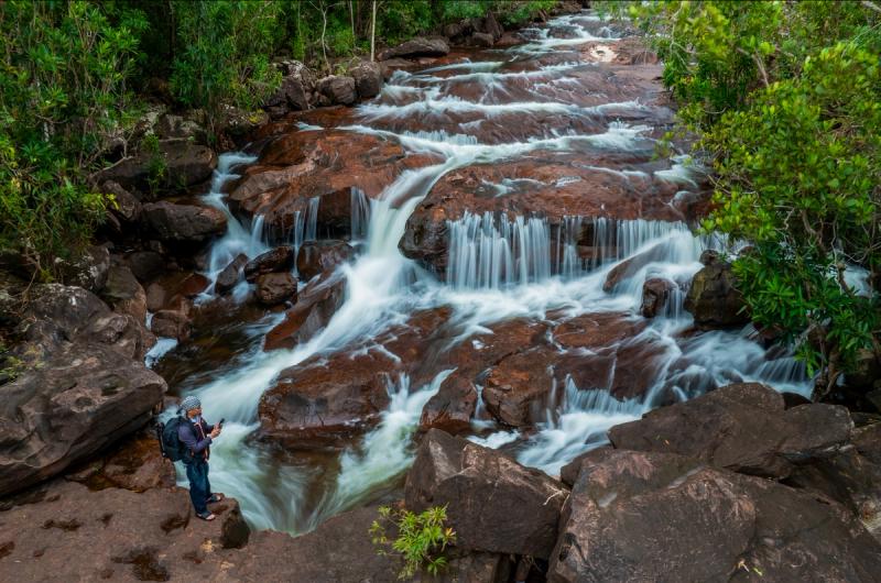 Water cascading over rocks amid forest vegetation