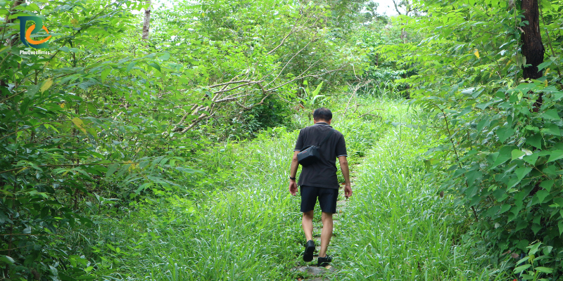 A wooded footpath leading towards Da Ban Stream
