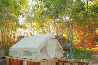 A canvas tent beside bamboo and a stone path