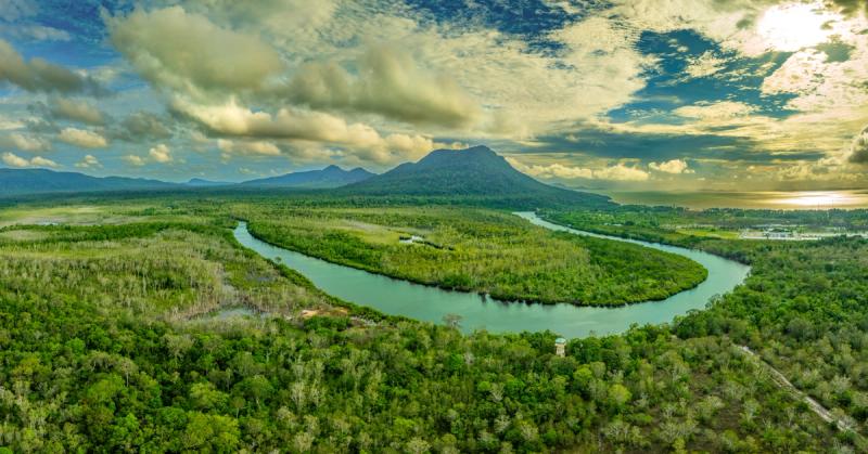 A broad river bend through forest under a cloudy sky