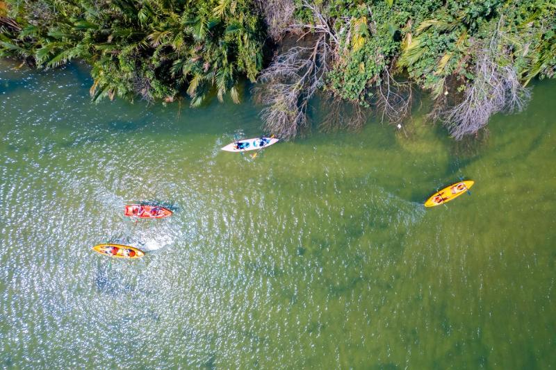 Kayaks spaced along a tree-lined river seen from above