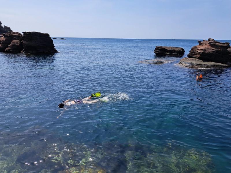 A snorkeler at the surface of a rocky coastal bay