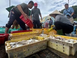 People sorting fish into baskets at a waterfront market