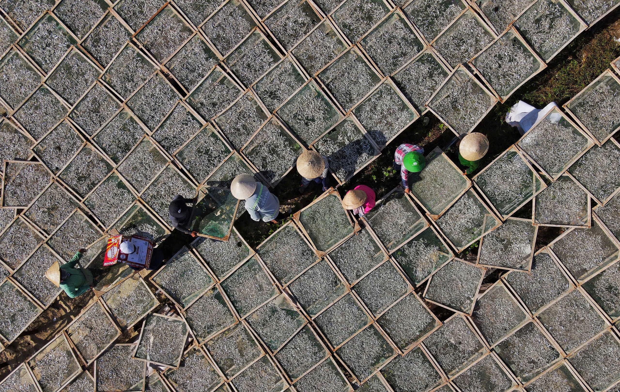 Workers among rows of fish-drying racks beside the water