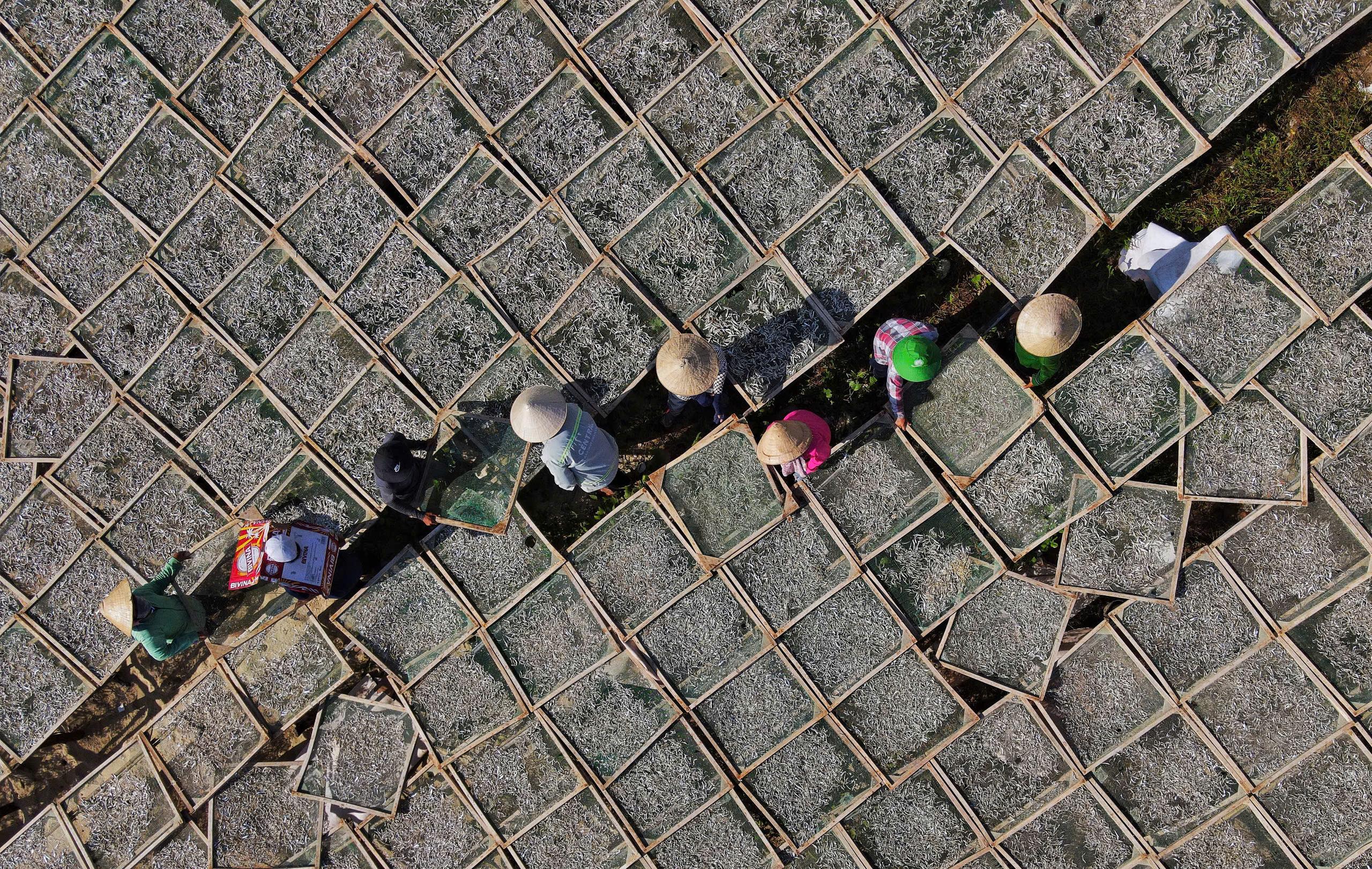 Workers among rows of fish-drying racks beside the water