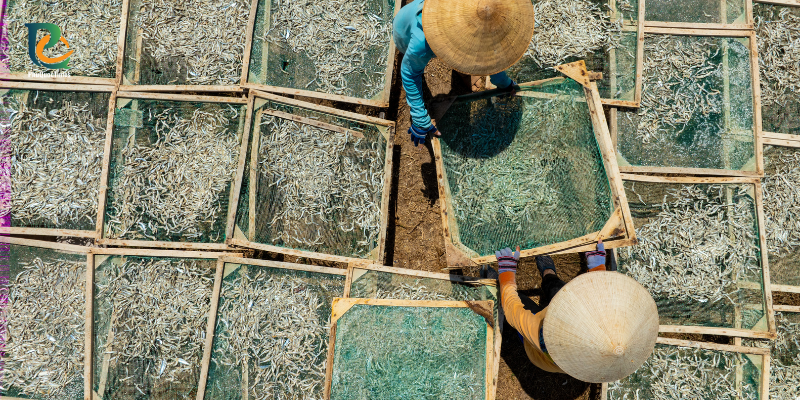 Seafood drying racks at Ham Ninh seen from above