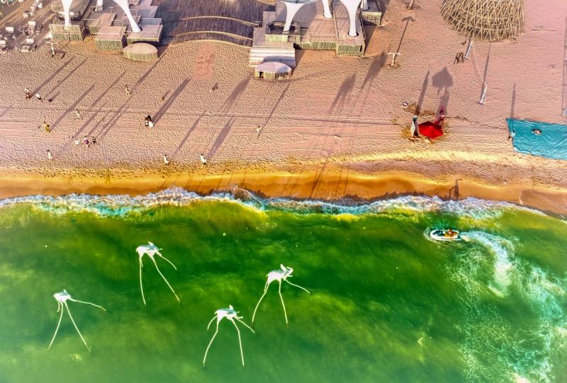 An aerial view of the shoreline and elephant installations at Sunset Sanato