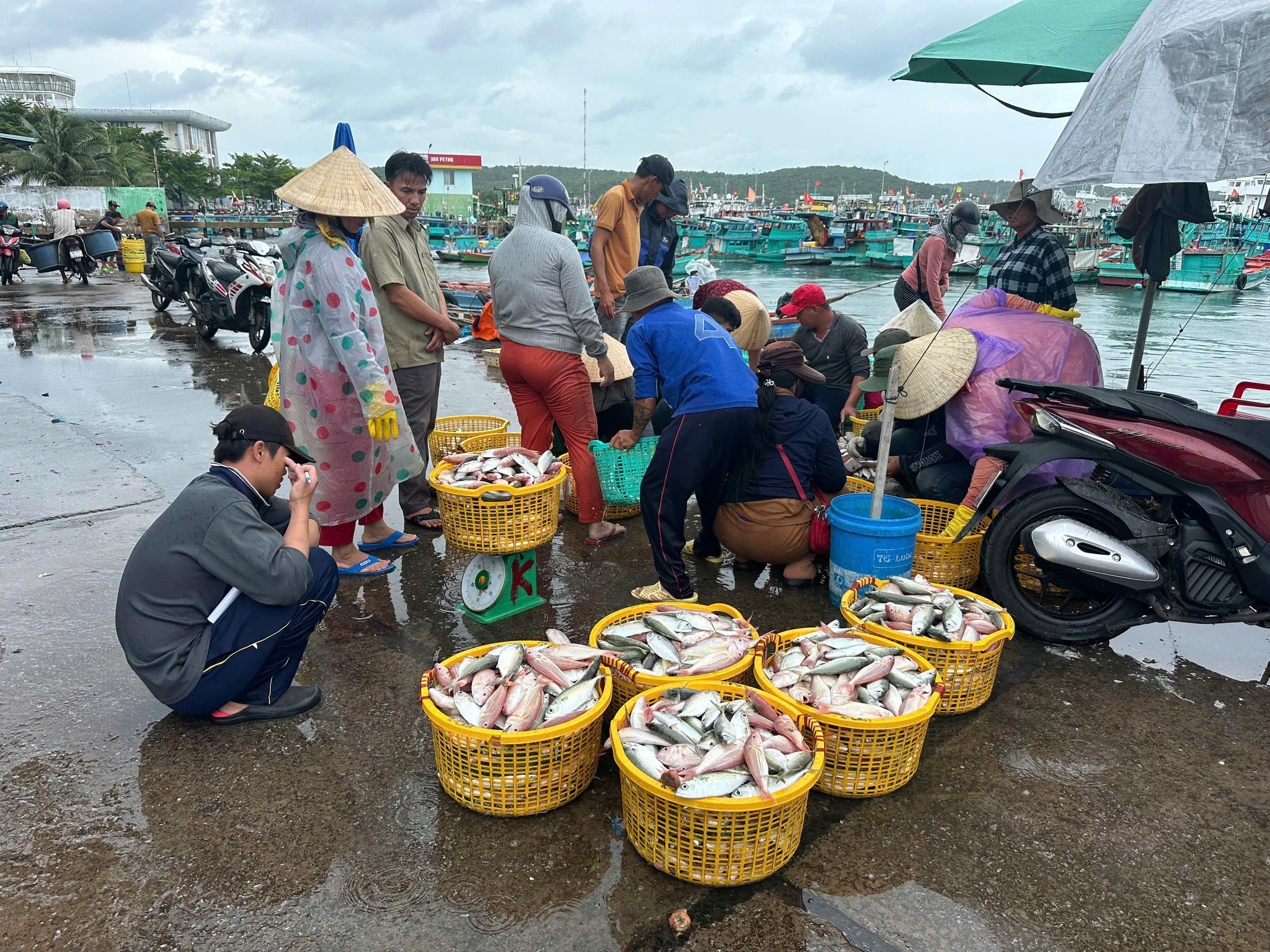 People sorting fish into baskets at a waterfront market