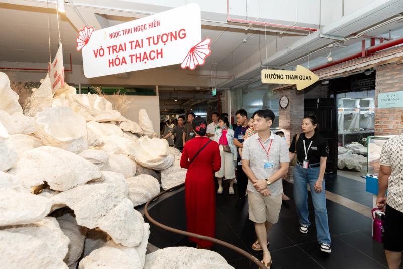 Visitors beside large shell exhibits in the pearl visitor collection
