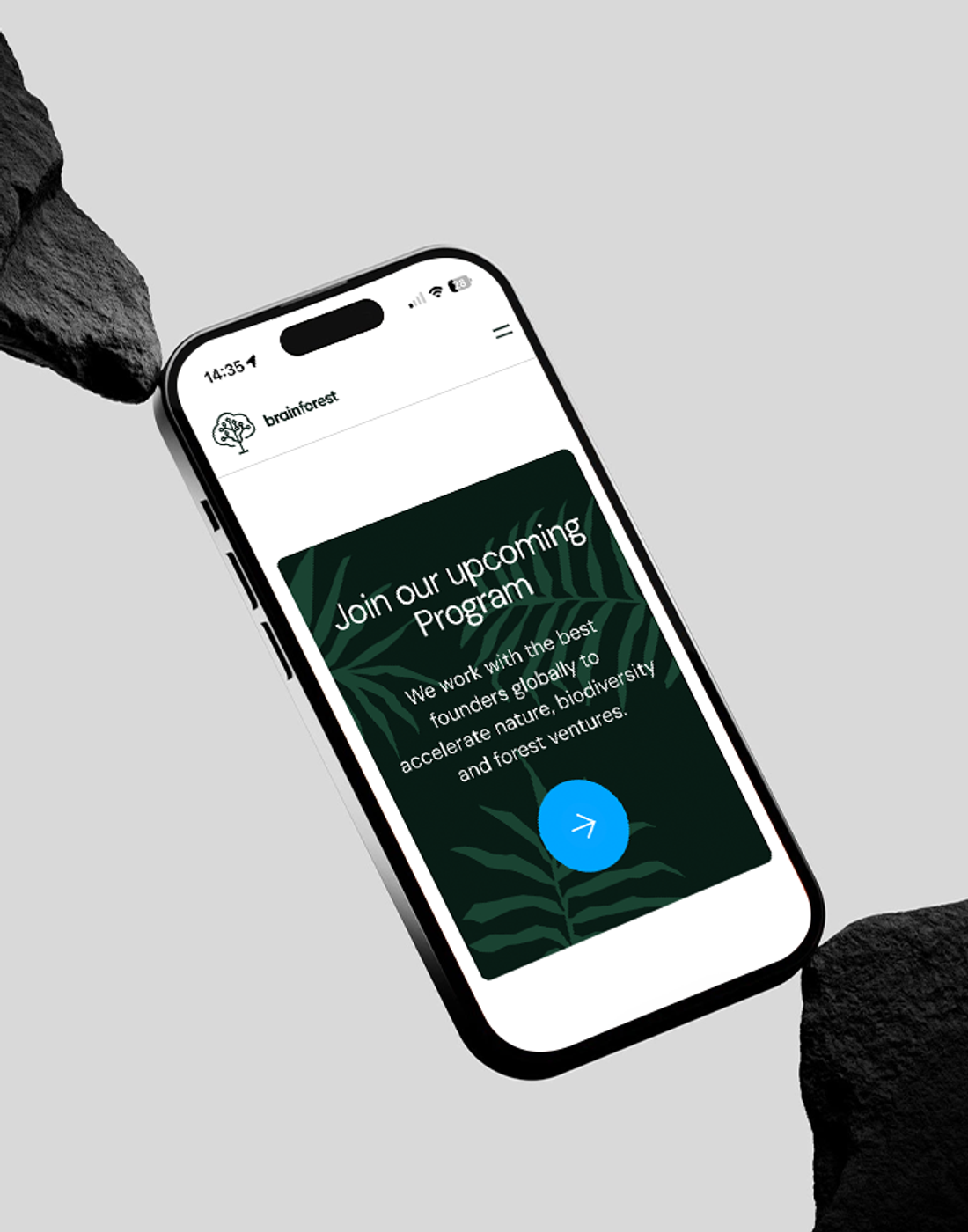 Website for Nature