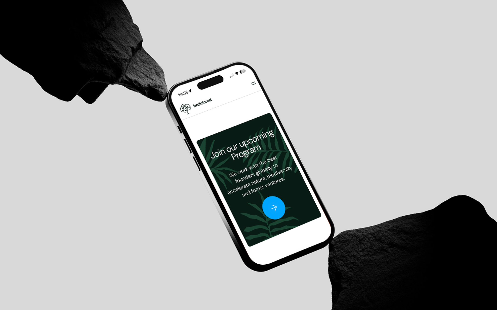 Website for Nature