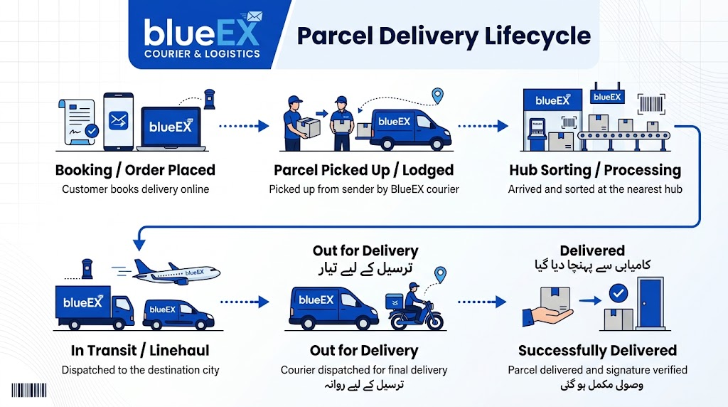 Infographic flowchart diagram illustrating the lifecycle of a BlueEX courier parcel delivery, clean design, blue and white color scheme