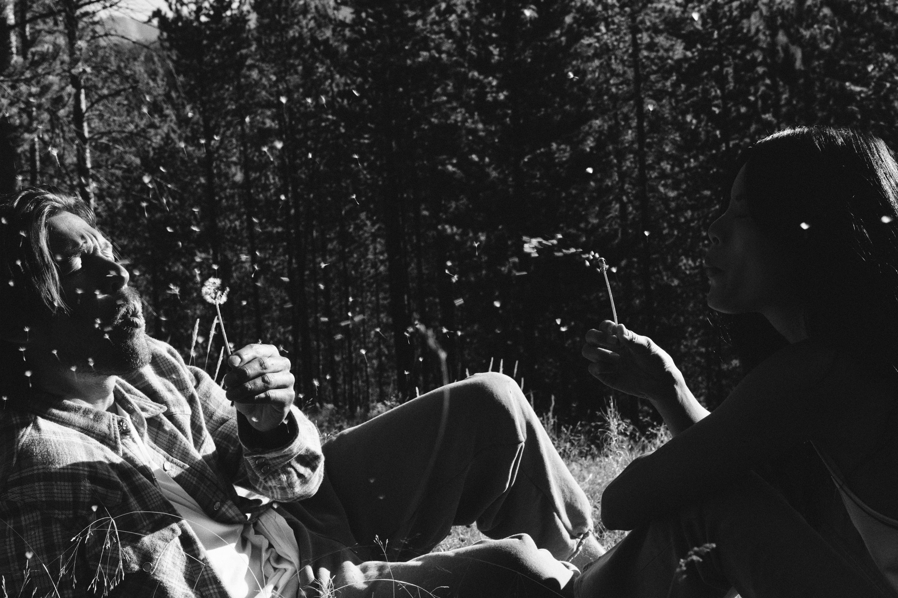 Take A Walk On The Wild Side 11