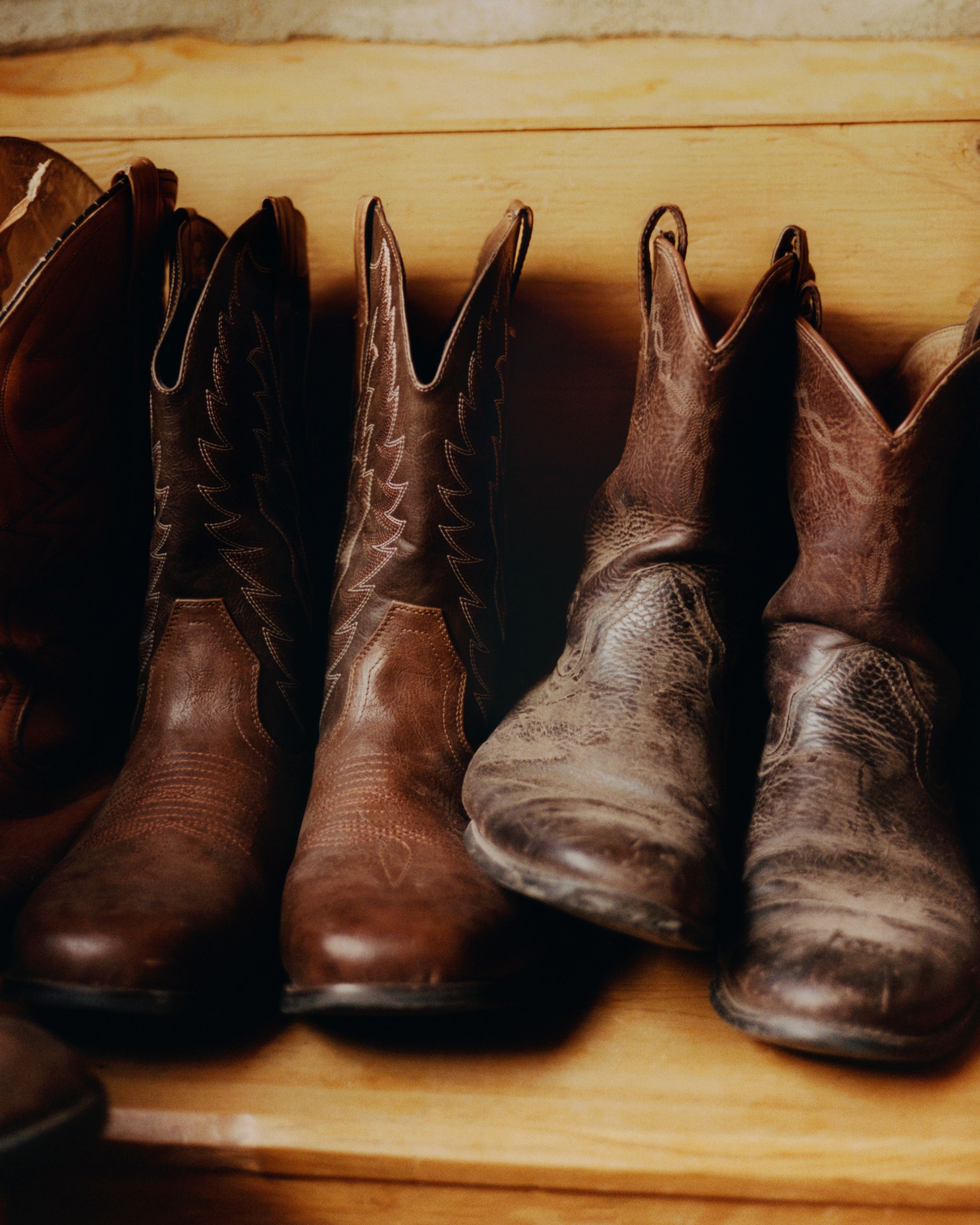 Take A Walk On The Wild Side 12