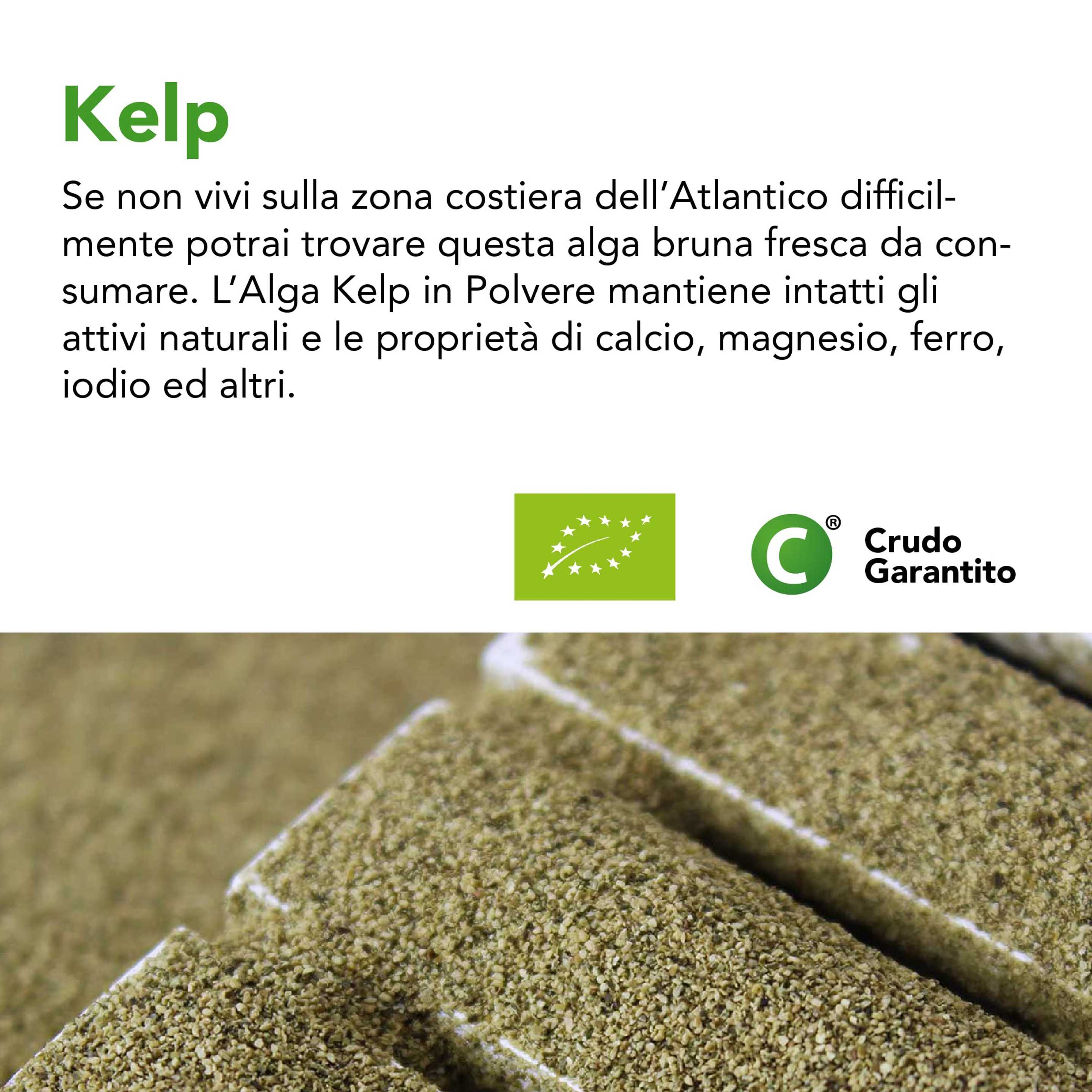 Alga Kelp In Polvere Bio 4