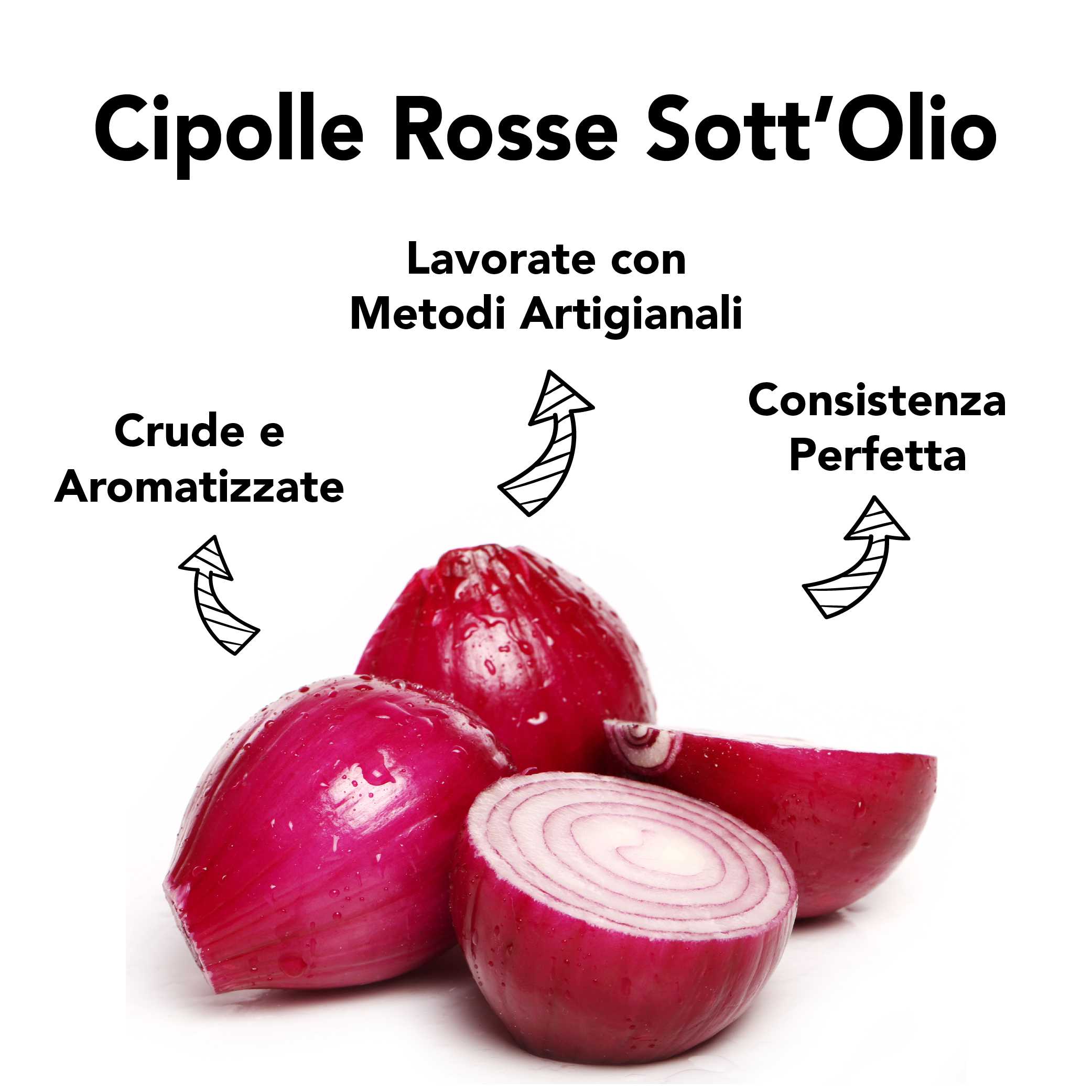 Cipolle Rosse Sott'Olio Bio 5