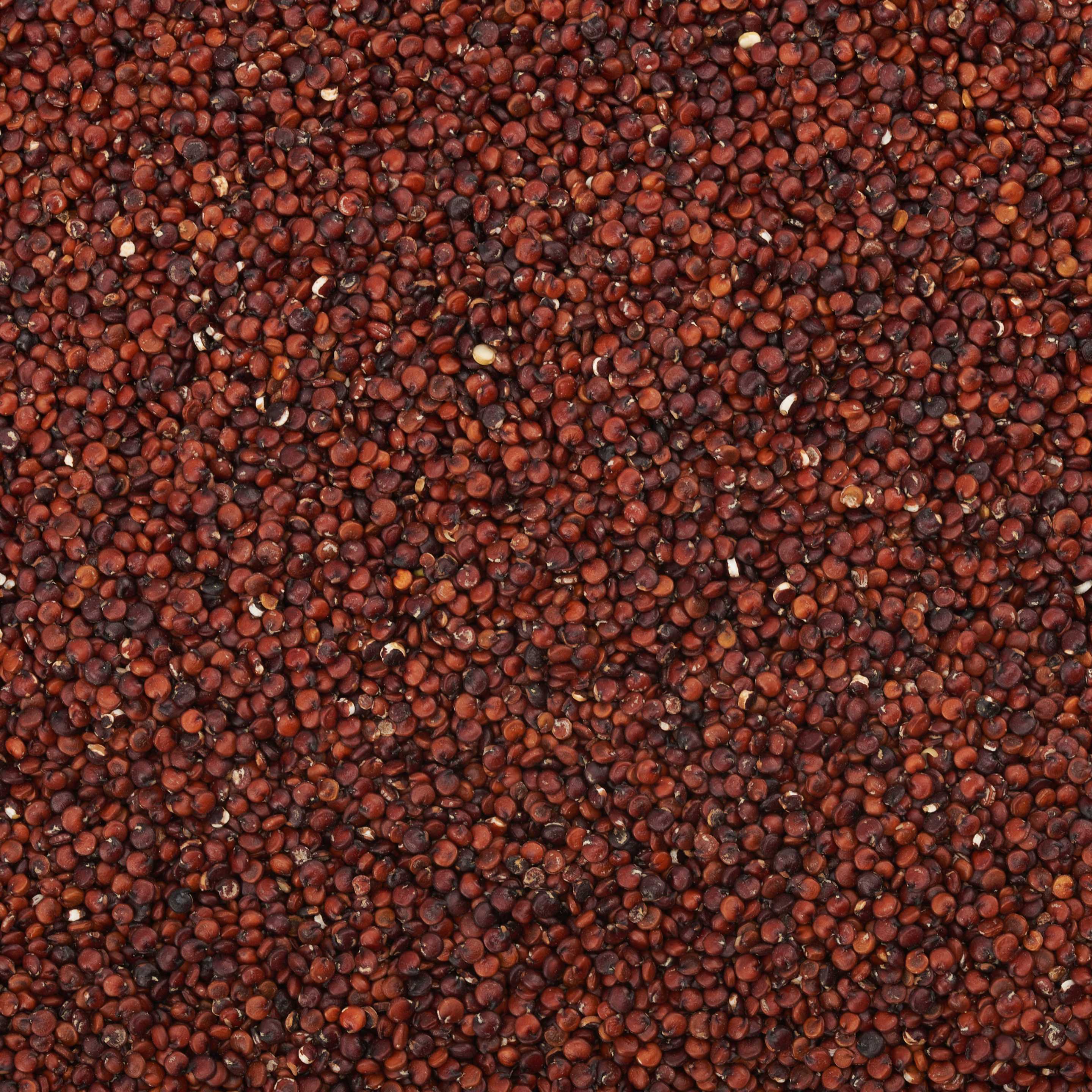 Quinoa Rossa Cruda Bio 4