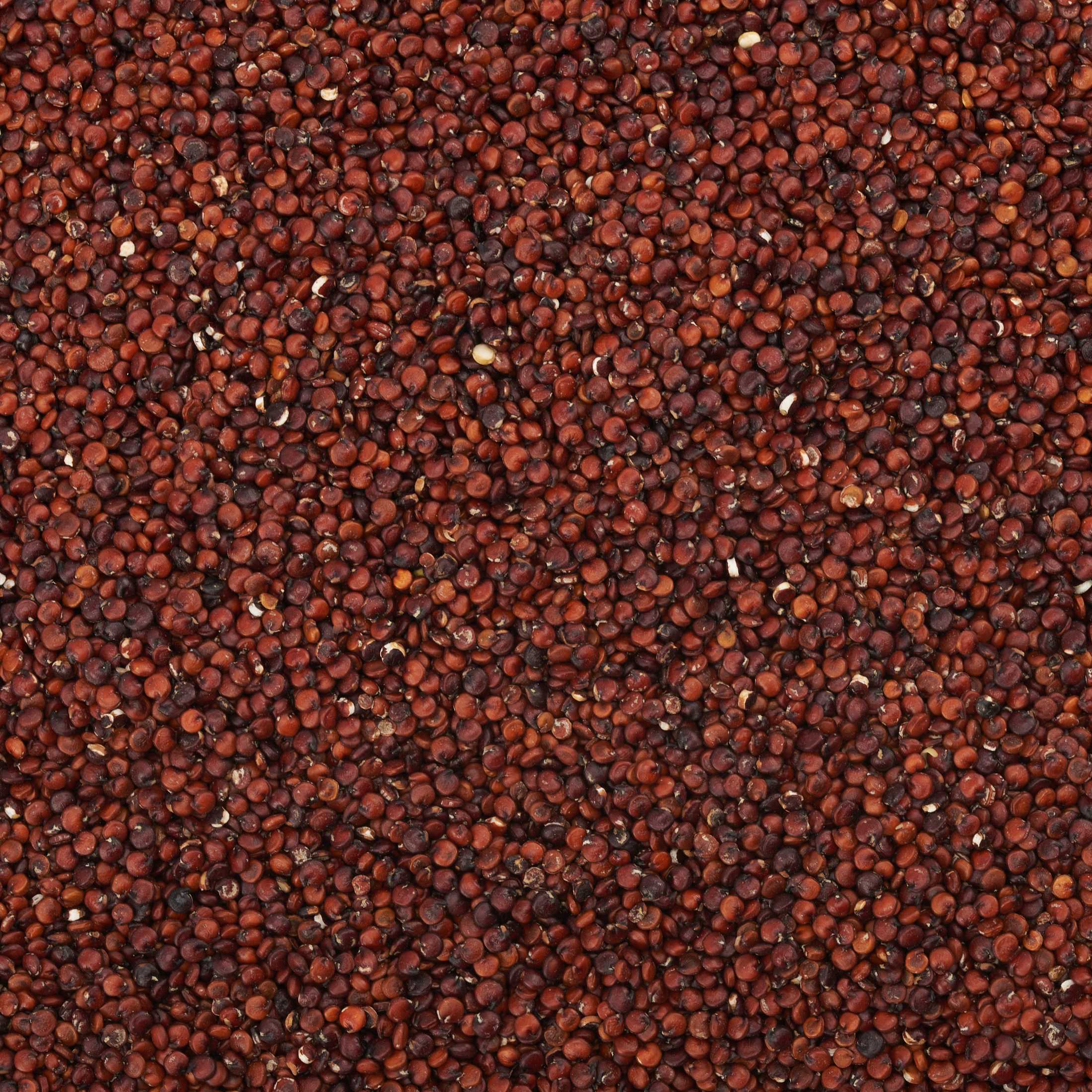 Quinoa Rossa Cruda Bio 4