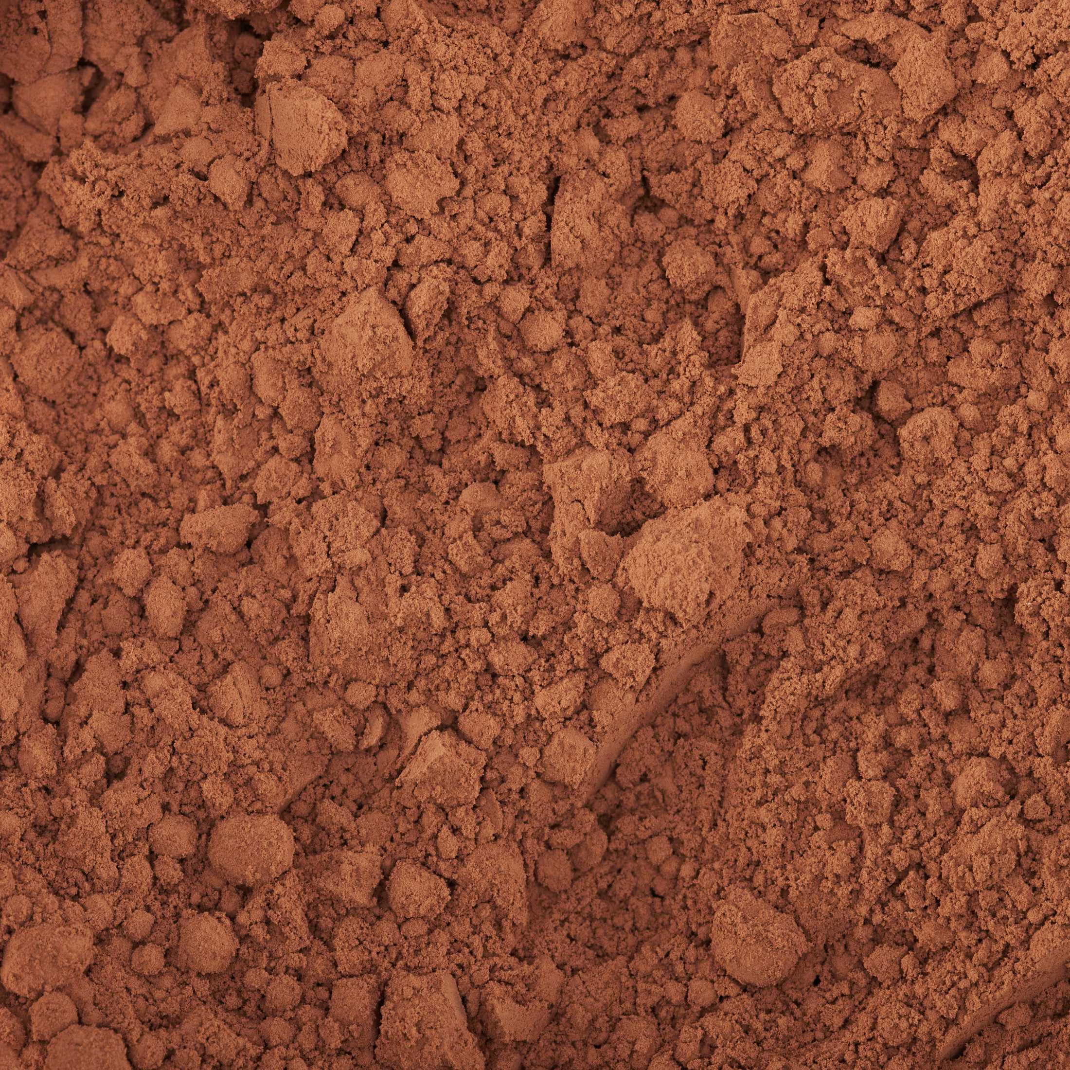 Cacao In Polvere Criollo Bio 3