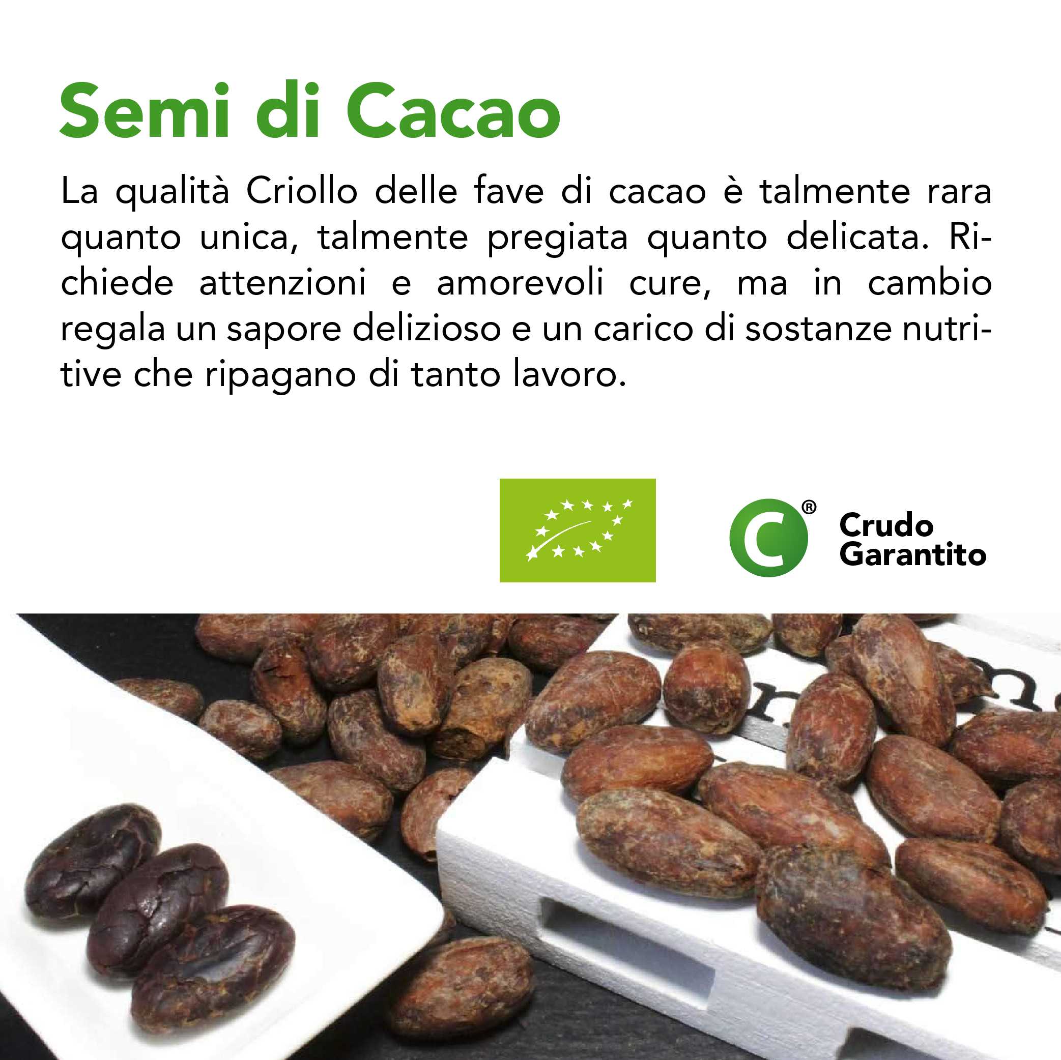 Semi Di Cacao Criollo (Fave) Bio 5