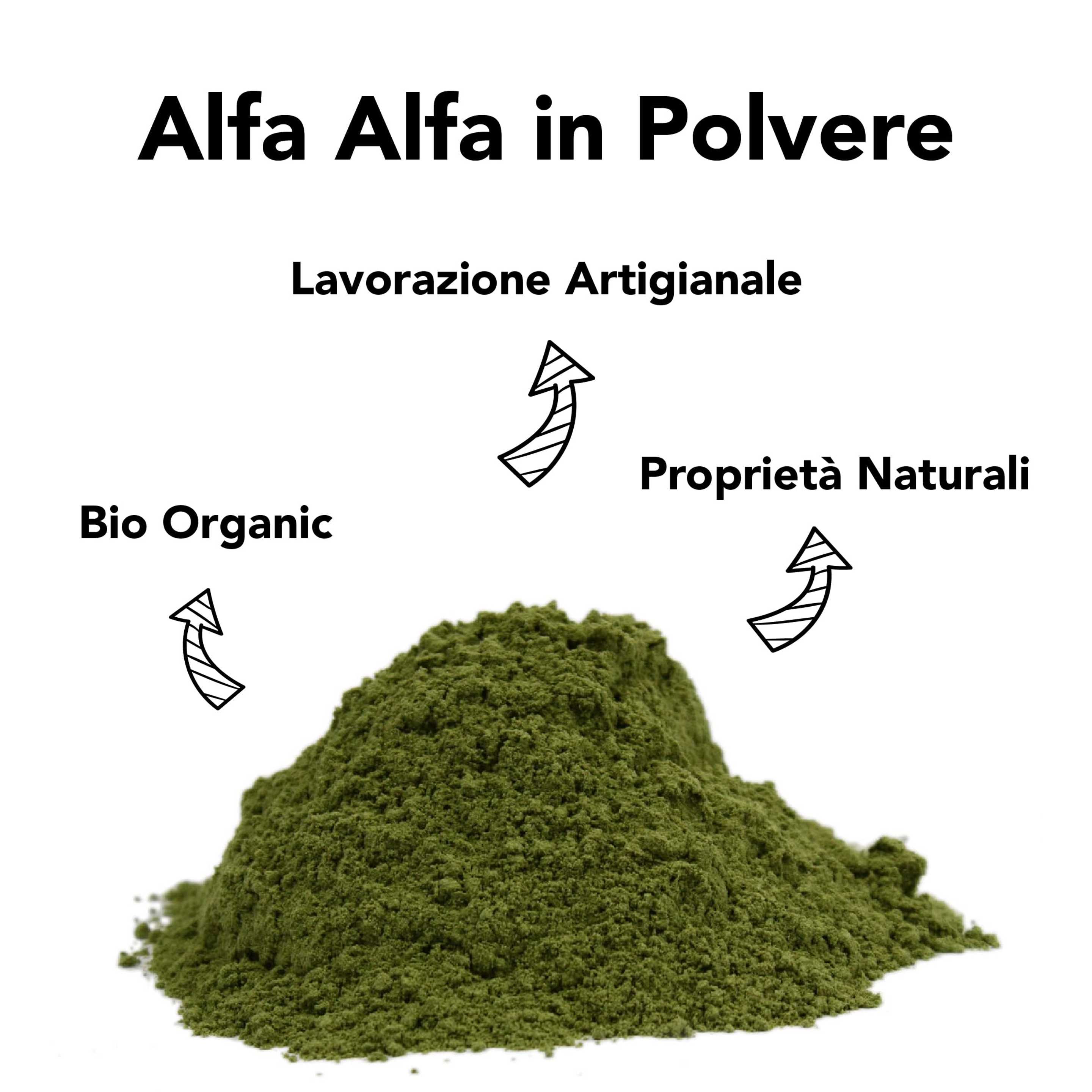 Alfa Alfa In Polvere Cruda Bio 4