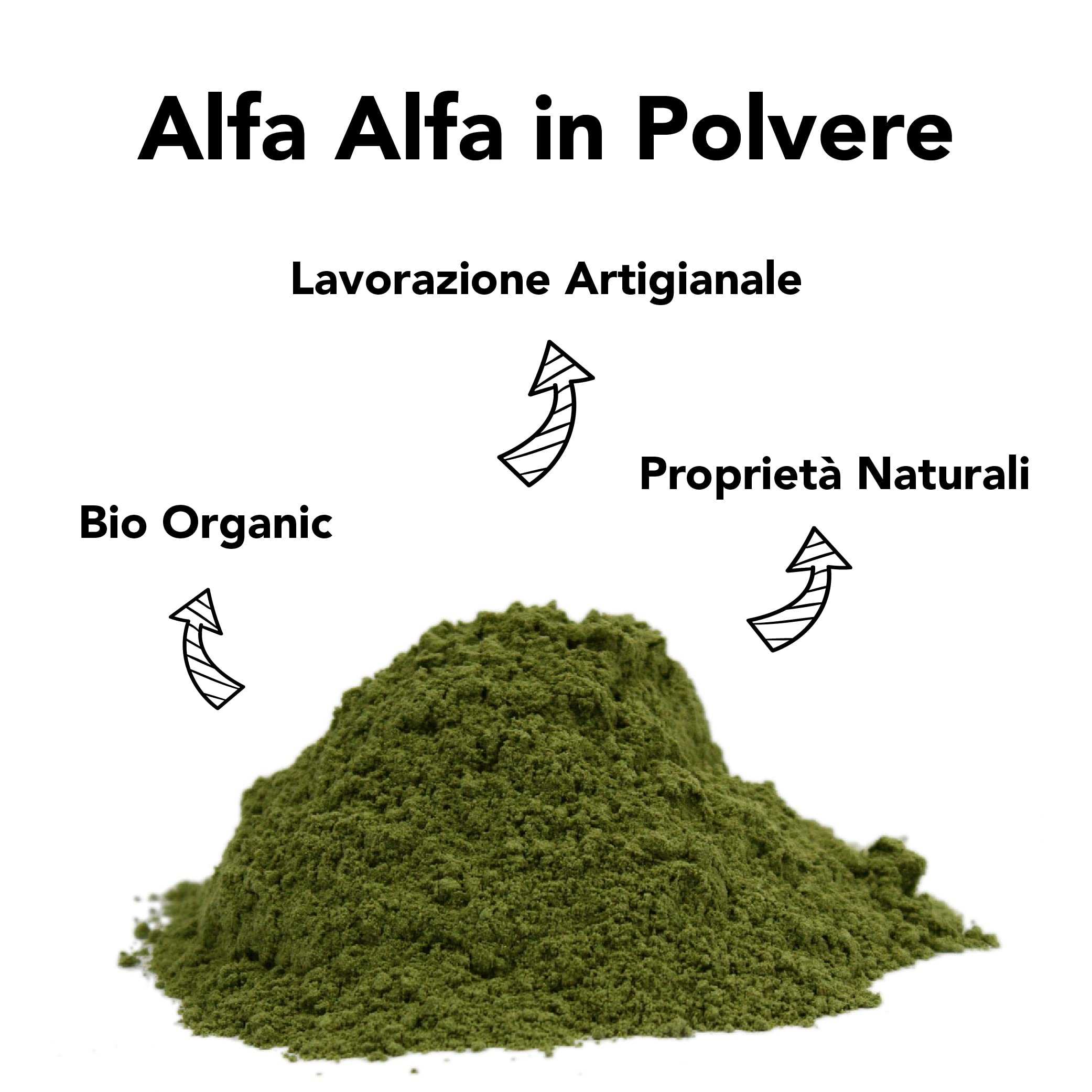 Alfa Alfa In Polvere Cruda Bio 6